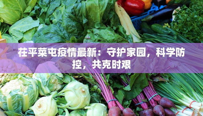 茌平菜屯疫情最新：守护家园，科学防控，共克时艰