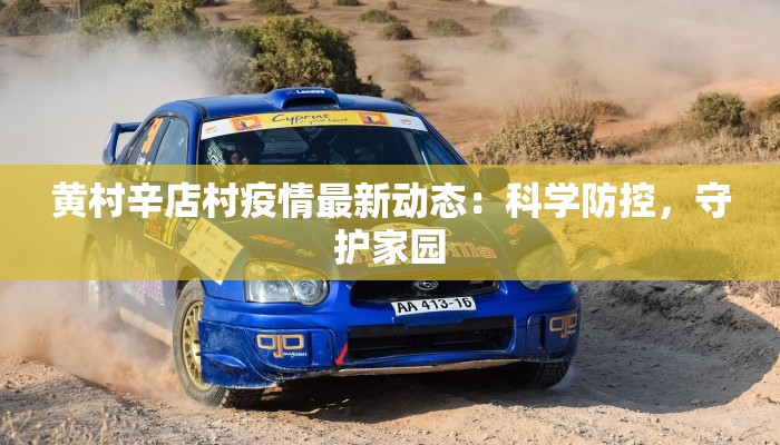 黄村辛店村疫情最新动态：科学防控，守护家园