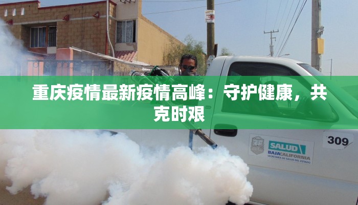 重庆疫情最新疫情高峰：守护健康，共克时艰