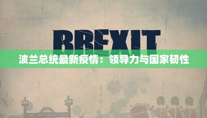 波兰总统最新疫情：领导力与国家韧性