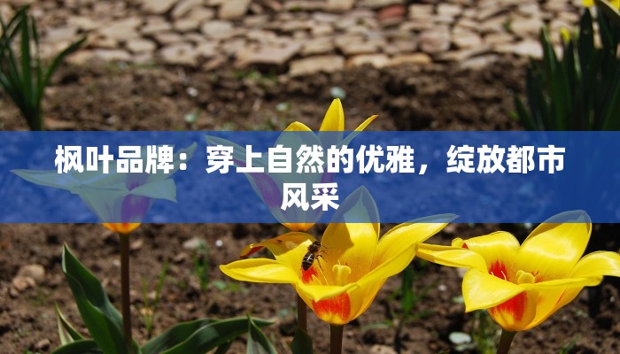 枫叶品牌：穿上自然的优雅，绽放都市风采