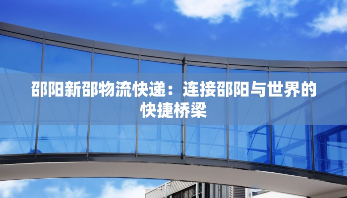 邵阳新邵物流快递：连接邵阳与世界的快捷桥梁