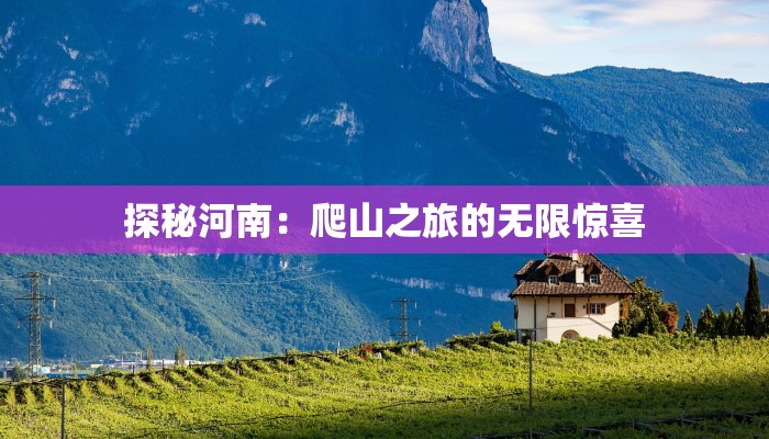 上海长宁疫情详情最新