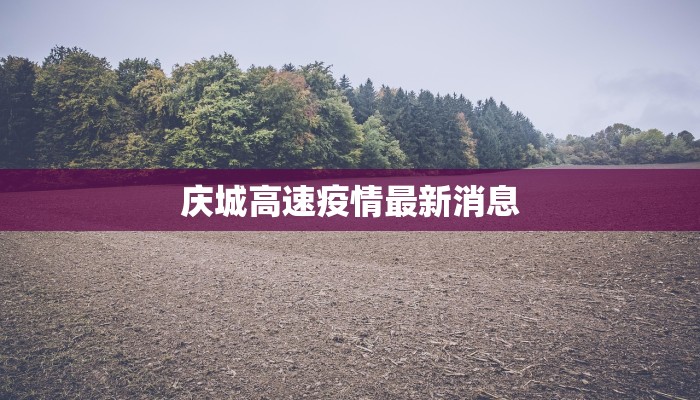 庆城高速疫情最新消息