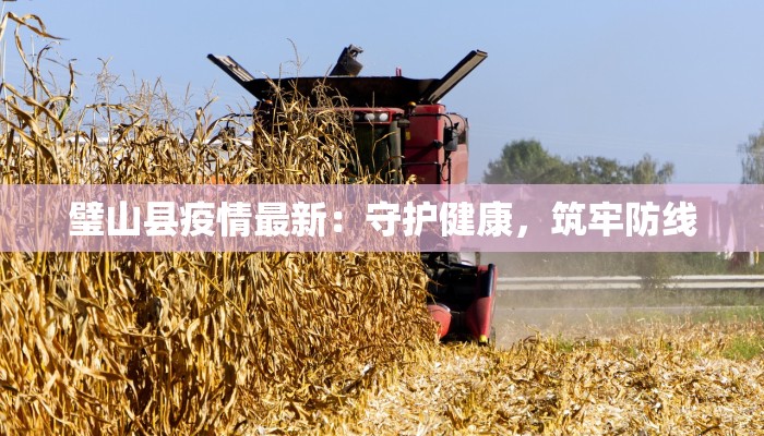 璧山县疫情最新：守护健康，筑牢防线