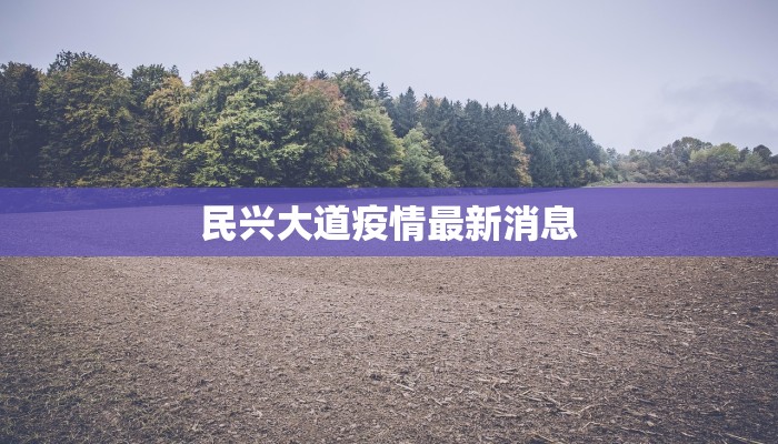 民兴大道疫情最新消息 民兴大道疫情最新消息