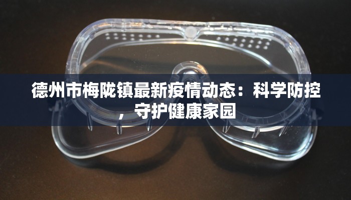 德州市梅陇镇最新疫情动态：科学防控，守护健康家园
