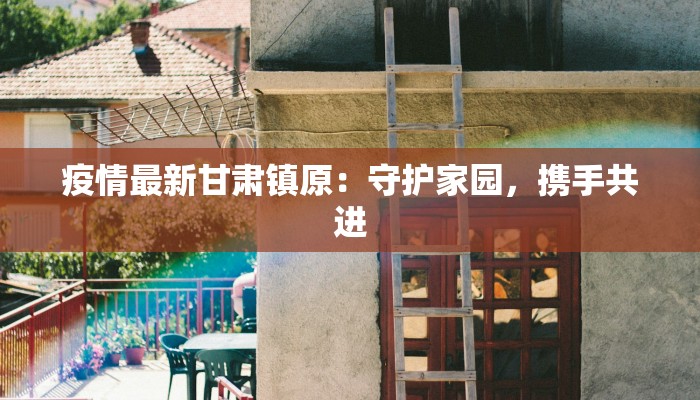 疫情最新甘肃镇原：守护家园，携手共进