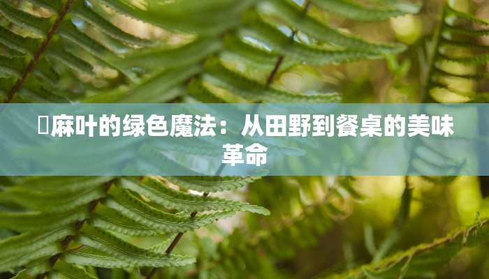 苧麻叶的绿色魔法：从田野到餐桌的美味革命
