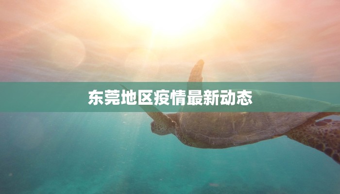 东莞地区疫情最新动态 东莞地区疫情最新动态