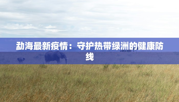 勐海最新疫情：守护热带绿洲的健康防线