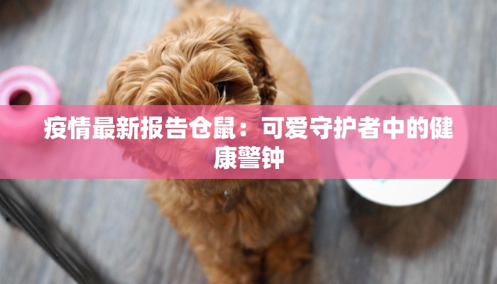 疫情最新报告仓鼠：可爱守护者中的健康警钟