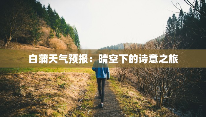白蒲天气预报：晴空下的诗意之旅