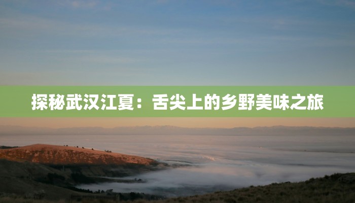 探秘武汉江夏：舌尖上的乡野美味之旅