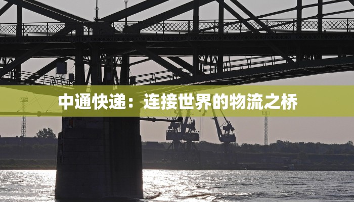 中通快递：连接世界的物流之桥