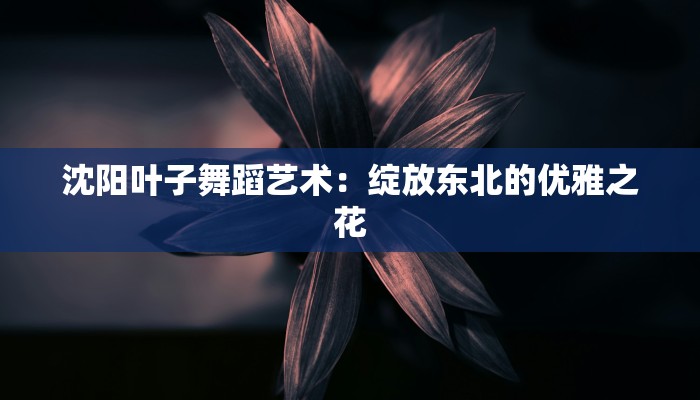 沈阳叶子舞蹈艺术：绽放东北的优雅之花
