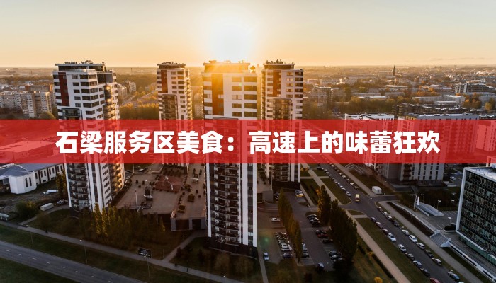 服装店主外出进货:开启时尚新篇章的智慧之旅 服装店主外出进货:开启时尚新篇章的智慧之旅