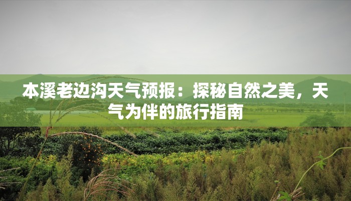 本溪老边沟天气预报:探秘自然之美,天气为伴的旅行指南 本溪老边沟天气预报:探秘自然之美,天气为伴的旅行指南