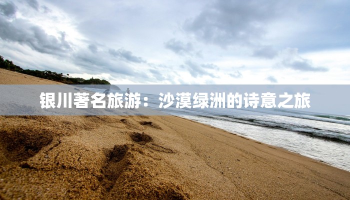 银川著名旅游：沙漠绿洲的诗意之旅