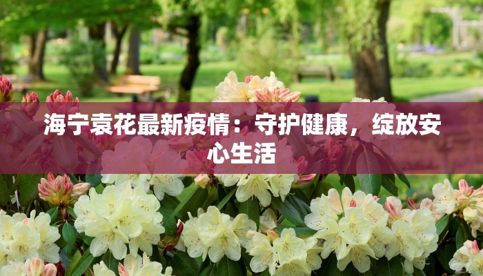 罗定疫情风险级别最新