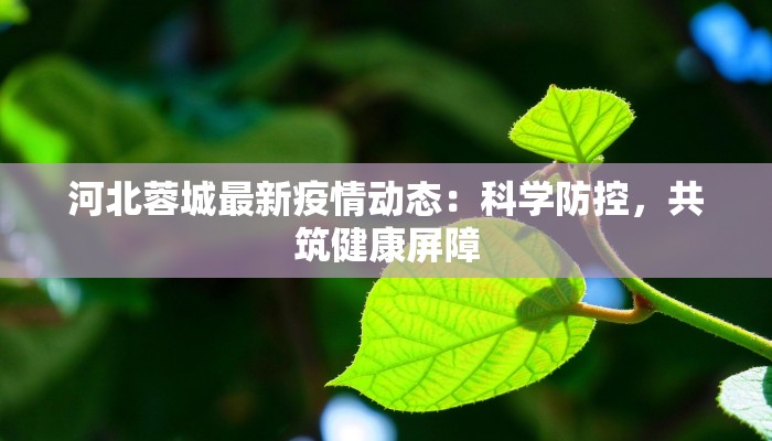 河北蓉城最新疫情动态:科学防控,共筑健康屏障 河北蓉城最新疫情动态:科学防控,共筑健康屏障