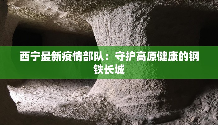 西宁最新疫情部队：守护高原健康的钢铁长城