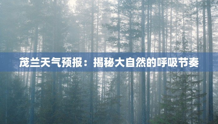 茂兰天气预报：揭秘大自然的呼吸节奏