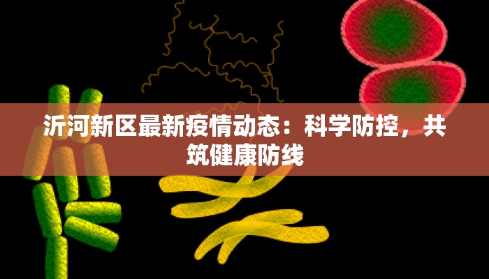 沂河新区最新疫情动态：科学防控，共筑健康防线