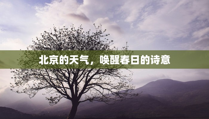 北京的天气，唤醒春日的诗意