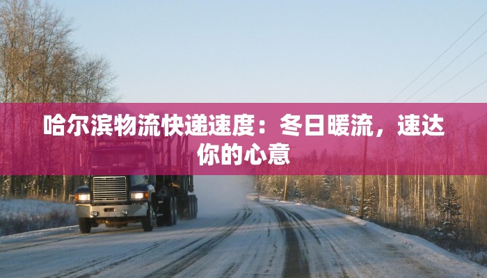 哈尔滨物流快递速度:冬日暖流,速达你的心意 哈尔滨物流快递速度:冬日暖流,速达你的心意