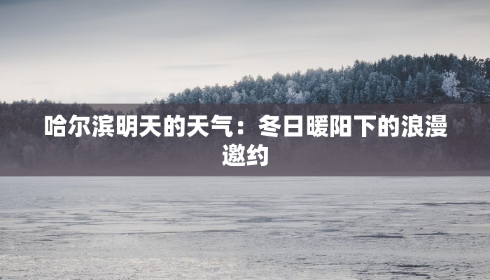 哈尔滨明天的天气:冬日暖阳下的浪漫邀约 哈尔滨明天的天气:冬日暖阳下的浪漫邀约