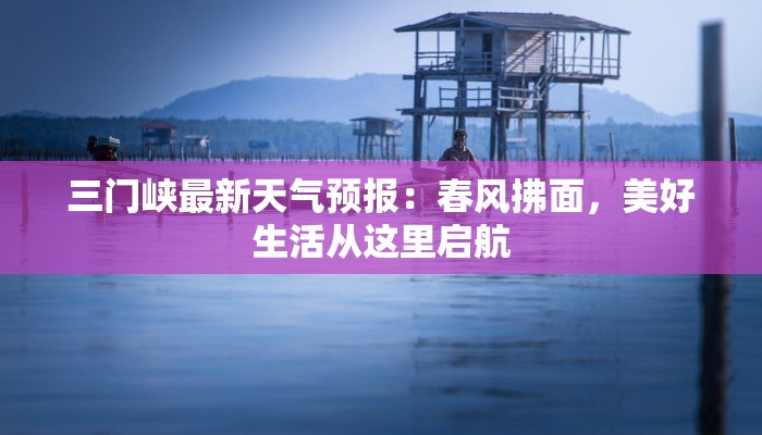 上海普陀区团购美食套餐探秘：味蕾的狂欢之旅