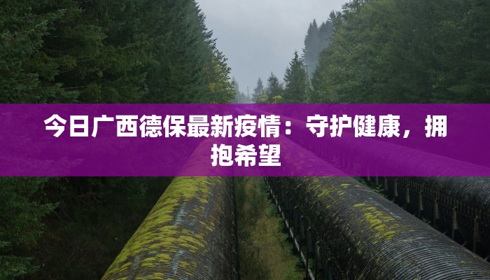 河南疫情最新起因信息：揭秘背后的真相与启示