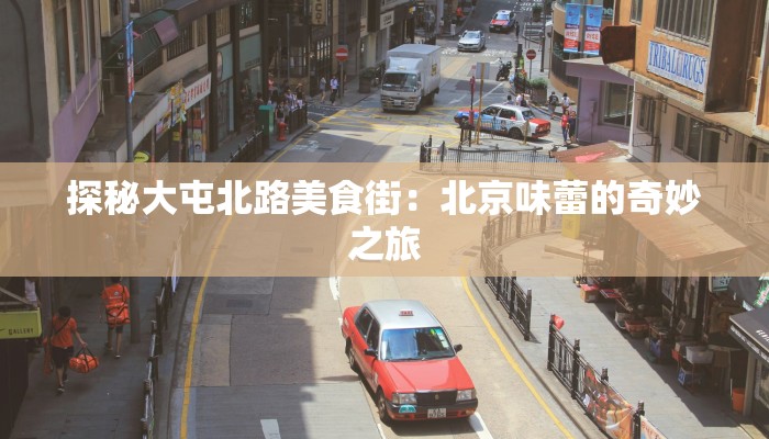 探秘大屯北路美食街：北京味蕾的奇妙之旅