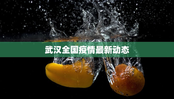 武汉全国疫情最新动态