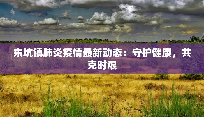 最新平原市疫情：科学防控，共筑健康防线