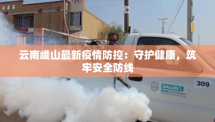 云南峨山最新疫情防控:守护健康,筑牢安全防线 云南峨山最新疫情防控:守护健康,筑牢安全防线