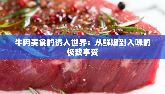 牛肉美食的诱人世界:从鲜嫩到入味的极致享受 牛肉美食的诱人世界:从鲜嫩到入味的极致享受