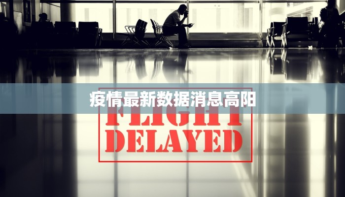 疫情最新数据消息高阳 疫情最新数据消息高阳