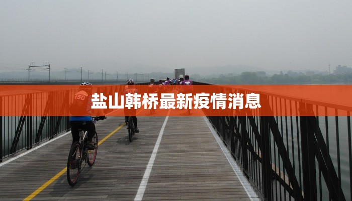 盐山韩桥最新疫情消息 盐山韩桥最新疫情消息