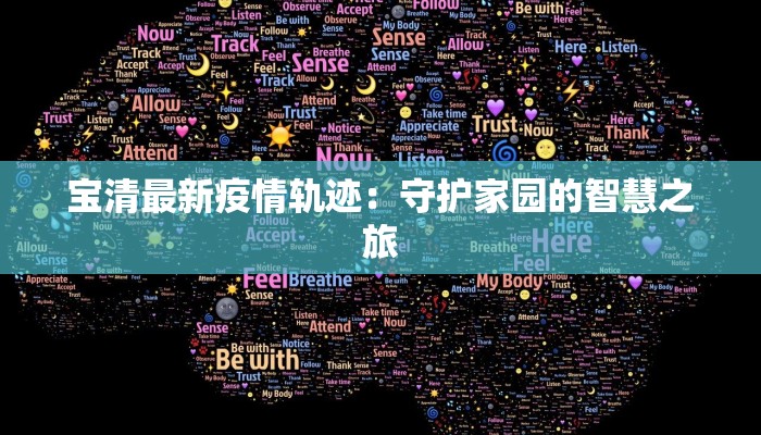 宝清最新疫情轨迹：守护家园的智慧之旅