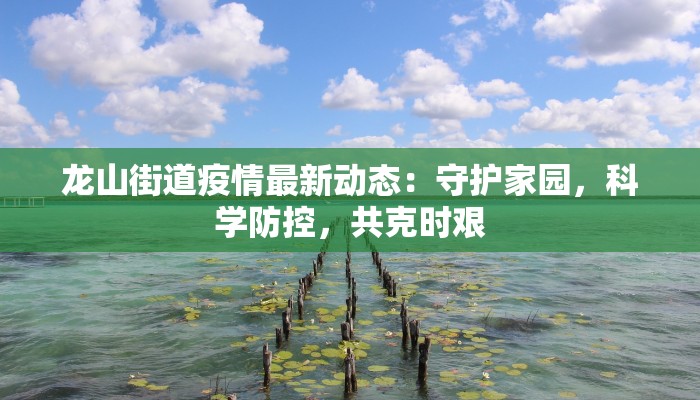 顺义最新疫情等级 顺义最新疫情等级