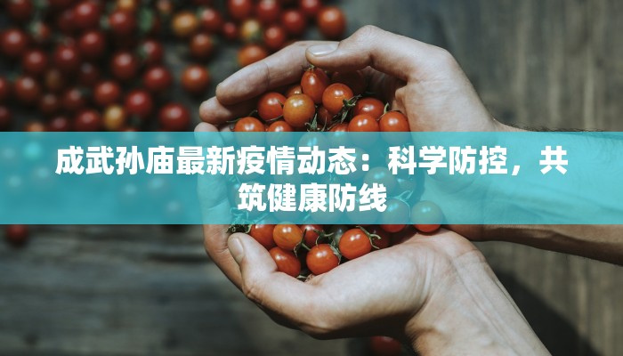 成武孙庙最新疫情动态：科学防控，共筑健康防线