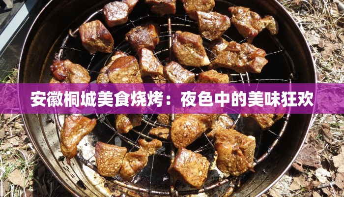 安徽桐城美食烧烤：夜色中的美味狂欢
