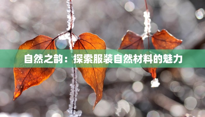 自然之韵：探索服装自然材料的魅力