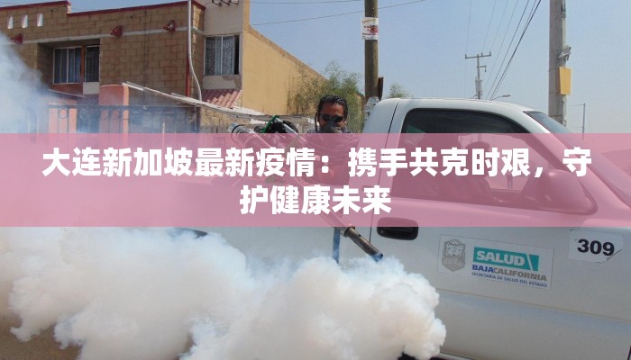 大连新加坡最新疫情：携手共克时艰，守护健康未来