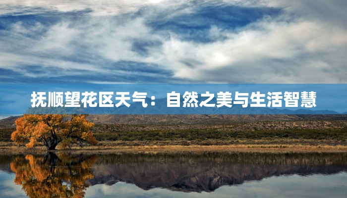 君庭中餐厅团购：味蕾的盛宴，优惠的惊喜