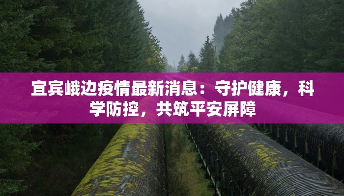 安溪疫情最新了