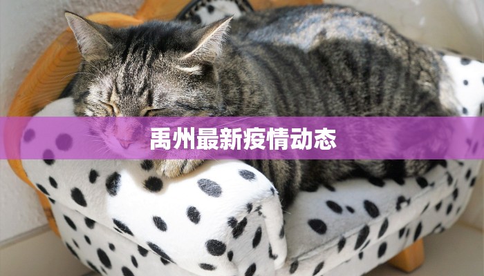 禹州最新疫情动态 禹州最新疫情动态