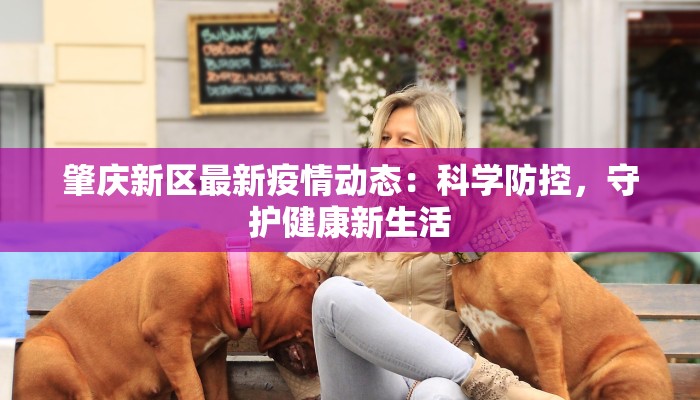 江苏最新疫情日报 江苏最新疫情日报